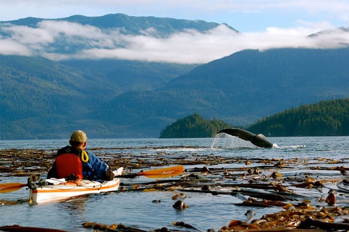 Vancouver Island 